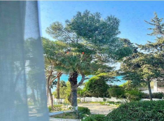 Summer Has Arrived at Yaso's By The Sea!